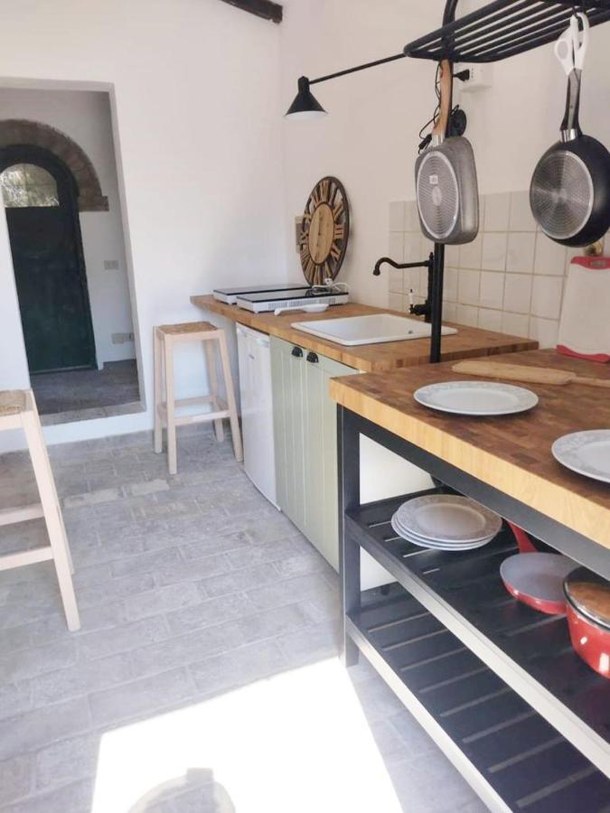 Ferienwohnung Relais Casale Il Poggetto - Oleandri By Zoom In Earth Cecina  Exterior foto